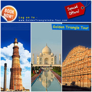 Get Brilliant Package for Golden Triangle Tour 