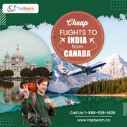 Cheap flights to india from canada
